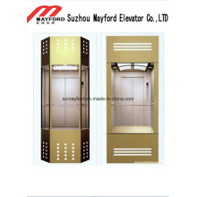 Glass Car Wall Panoramic Elevator with Stainless Steel